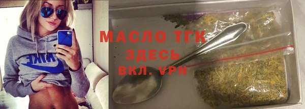 СК Алексин