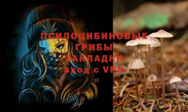 метамфетамин Алексеевка