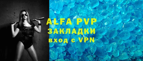 СК Алексин