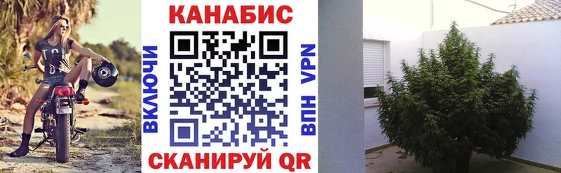 купить наркотик  Учалы  Каннабис сатива 